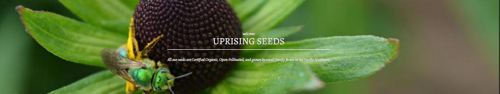 uprisingorganics us.shop banner